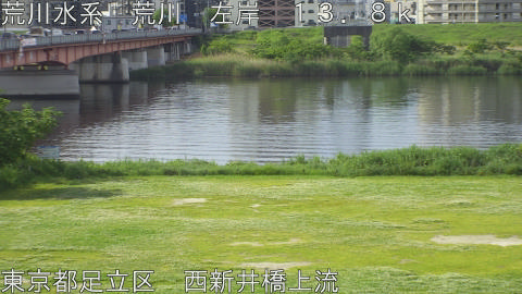 arani2026050808_image