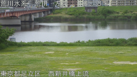 arani2026050809_image