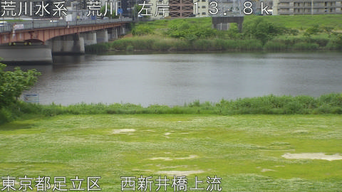 arani2026050810_image