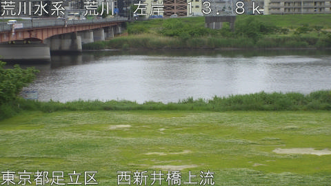 arani2026050811_image