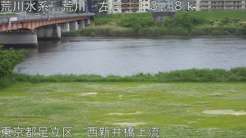 arani2026050812_image