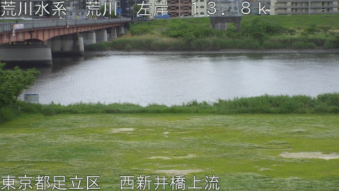 arani2026050813_image