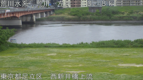 arani2026050814_image