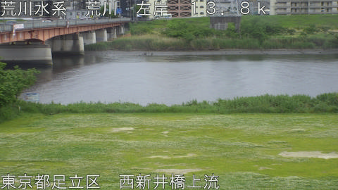 arani2026050815_image