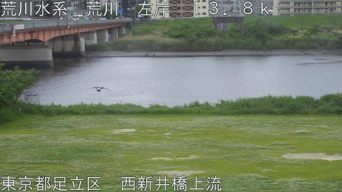 arani2026050817_image