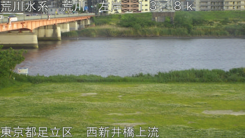 arani2026050818_image