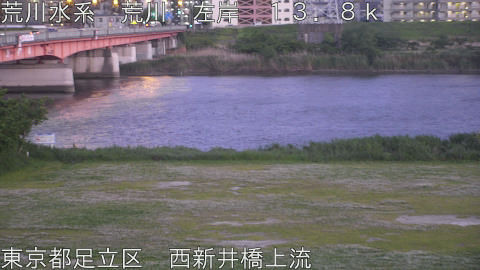 arani2026050819_image