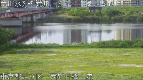 arani2026050907_image