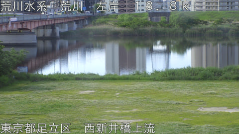 arani2026050908_image