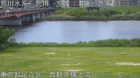 arani2026050909_image