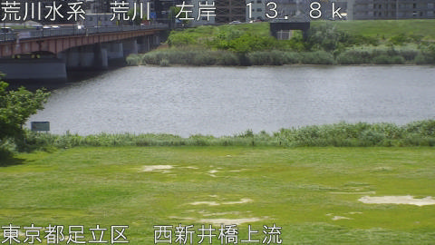 arani2026050911_image