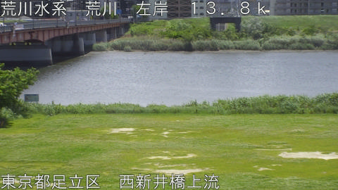 arani2026050912_image