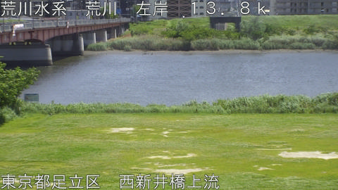 arani2026050913_image