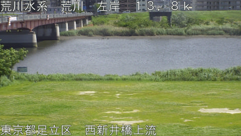 arani2026050914_image