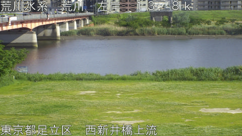 arani2026050916_image
