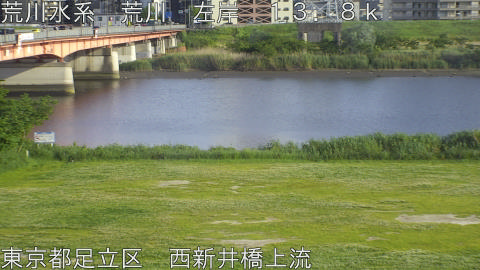arani2026050917_image