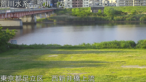 arani2026051106_image
