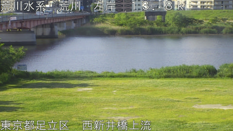 arani2026051107_image
