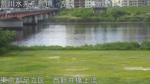 arani2026051108_image