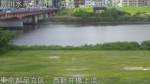 arani2026051109_image