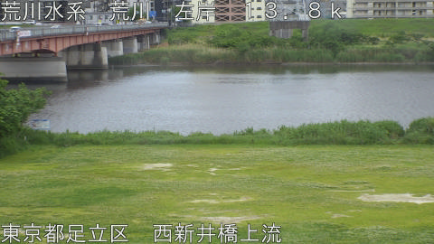 arani2026051110_image
