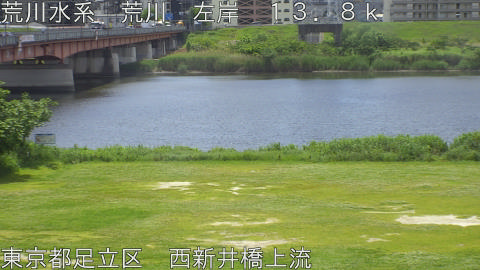 arani2026051111_image