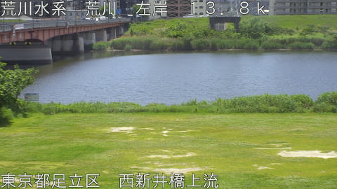 arani2026051112_image