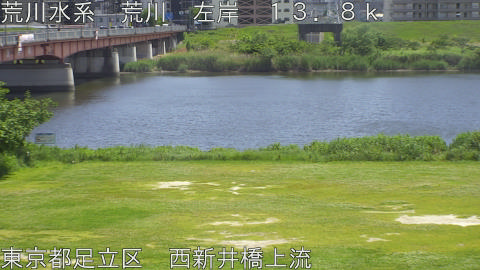 arani2026051113_image