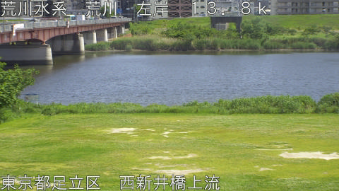 arani2026051114_image
