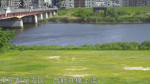 arani2026051115_image