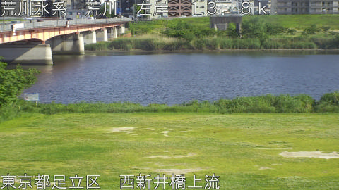 arani2026051116_image