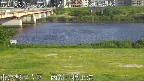 arani2026051117_image
