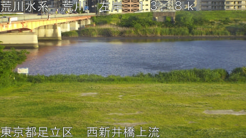 arani2026051118_image