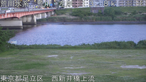 arani2026051119_image