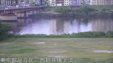 arani2026051205_image