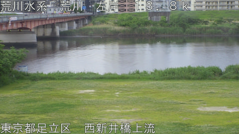 arani2026051206_image