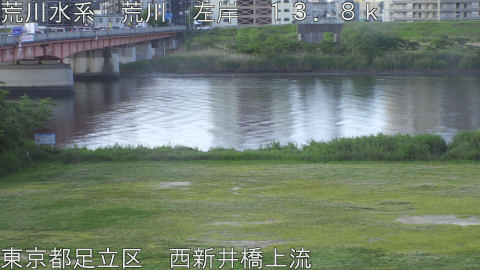 arani2026051207_image