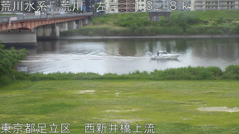arani2026051209_image
