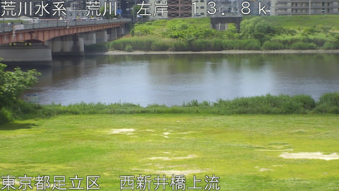 arani2026051210_image