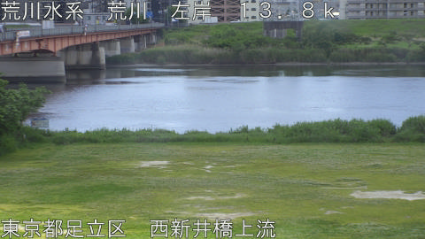 arani2026051211_image