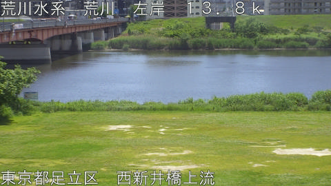arani2026051212_image