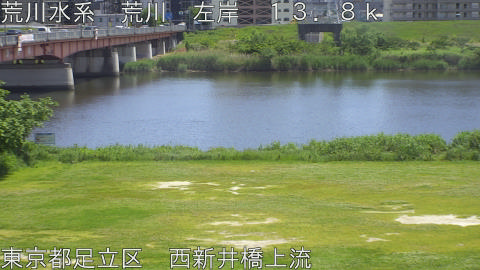 arani2026051213_image