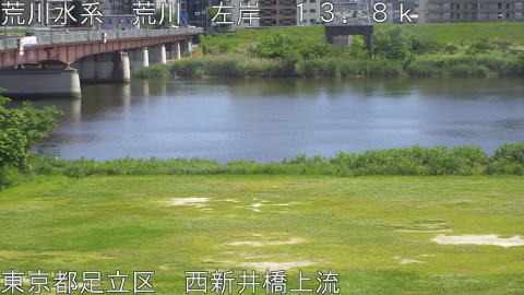 arani2026051214_image