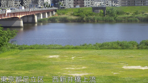 arani2026051215_image