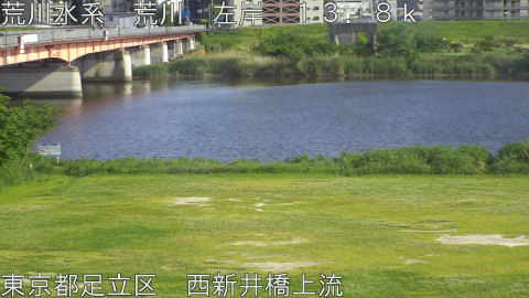 arani2026051216_image