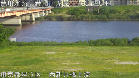 arani2026051217_image