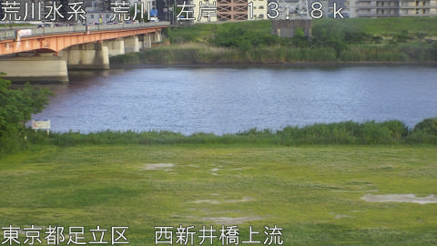 arani2026051218_image