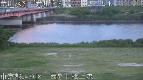 arani2026051219_image
