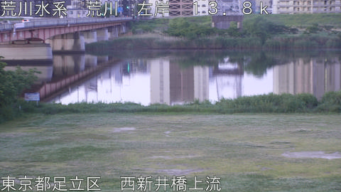 arani2026051305_image