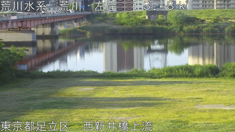 arani2026051306_image